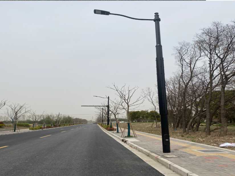 双湖县上海综合杆 太阳能路灯工程